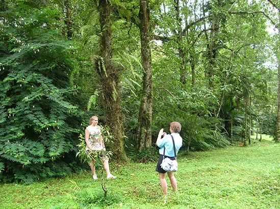Bali Botanical Garden tour from Kuta