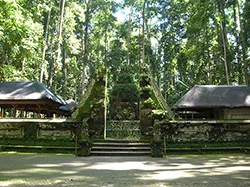 monkey forest bali tour
