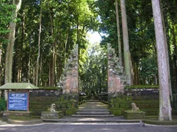 monkey forest bali tour