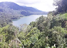 Tamblingan bali tour
