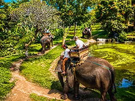 bali elephant tour