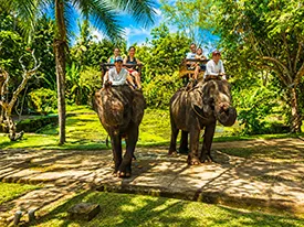 bali elephant tour