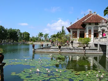 bali  tour
