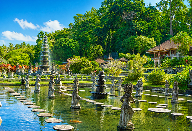 Bali tour with guide and driver
