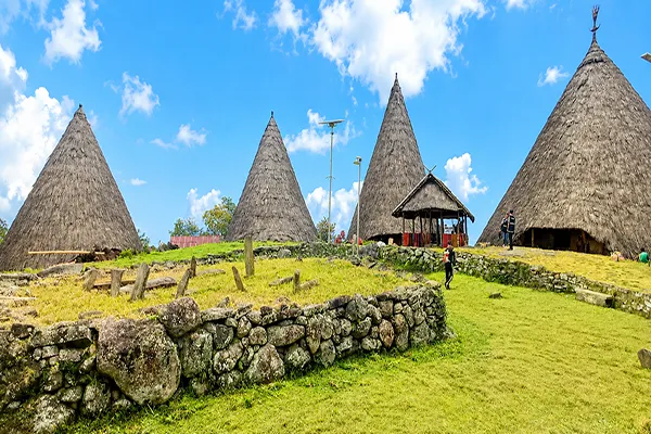  Flores Tours