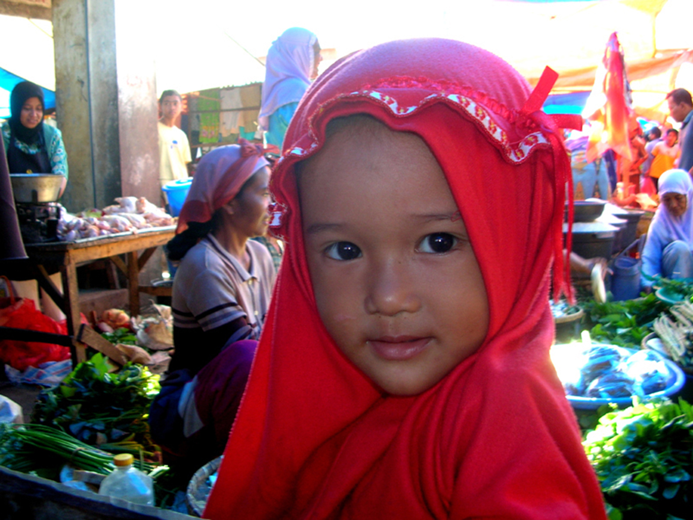  Lombok Tours