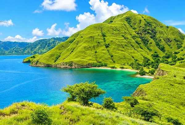 komodo tour 2 days 1 night