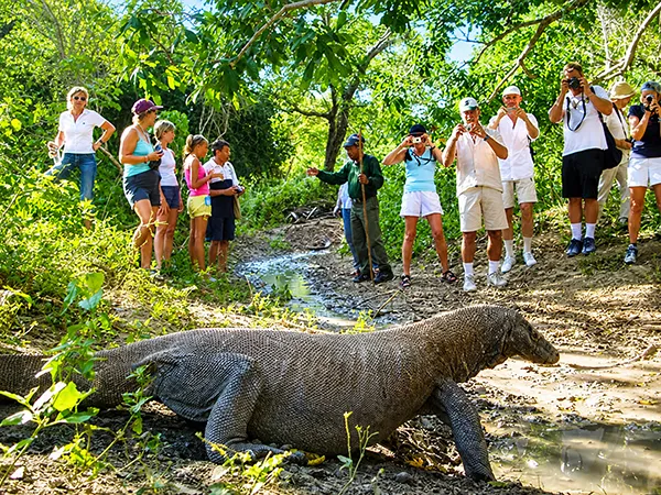 komodo tour 3 days 2 nights