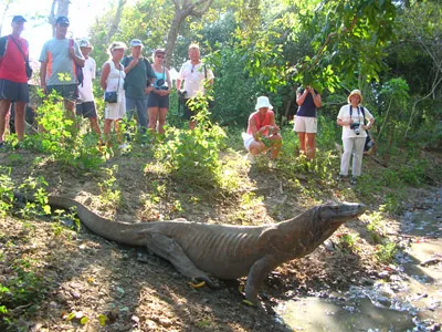 Bidadari Island Komodo Tour