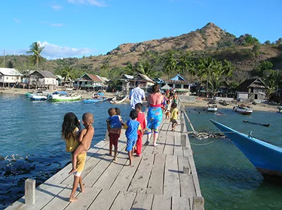 Komodo Tours & cruises