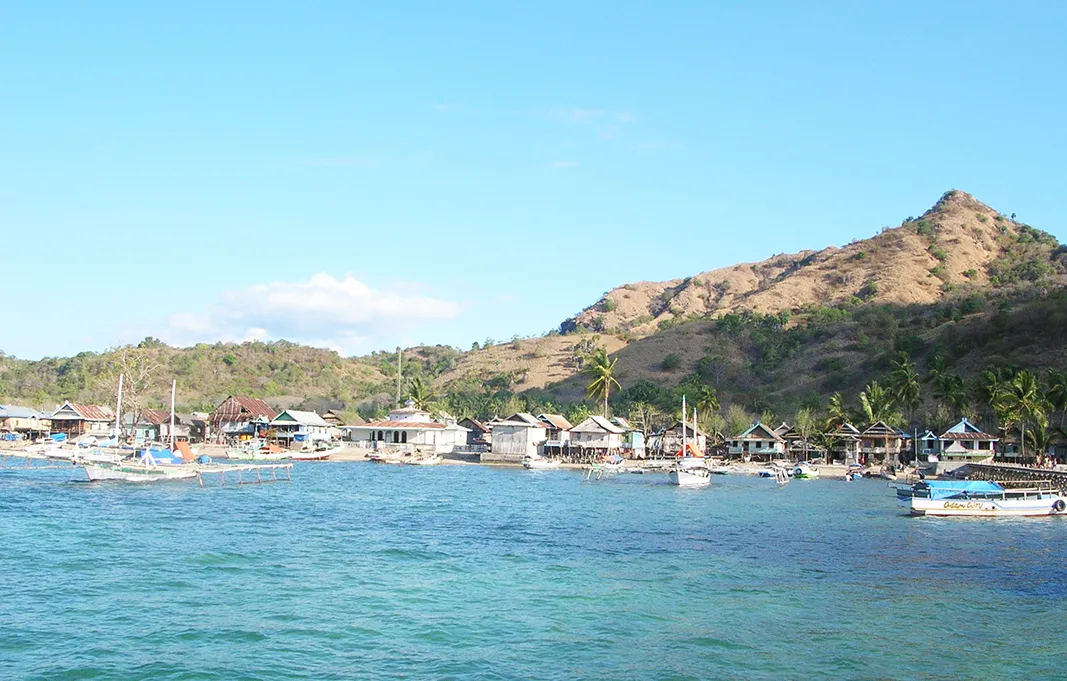  Komodo Tours & cruises 