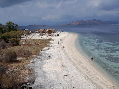  Komodo Tours & cruises
