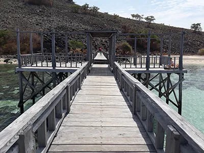  Komodo Tours & cruises 