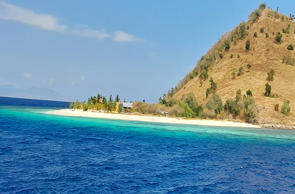 Komodo Tours & cruises