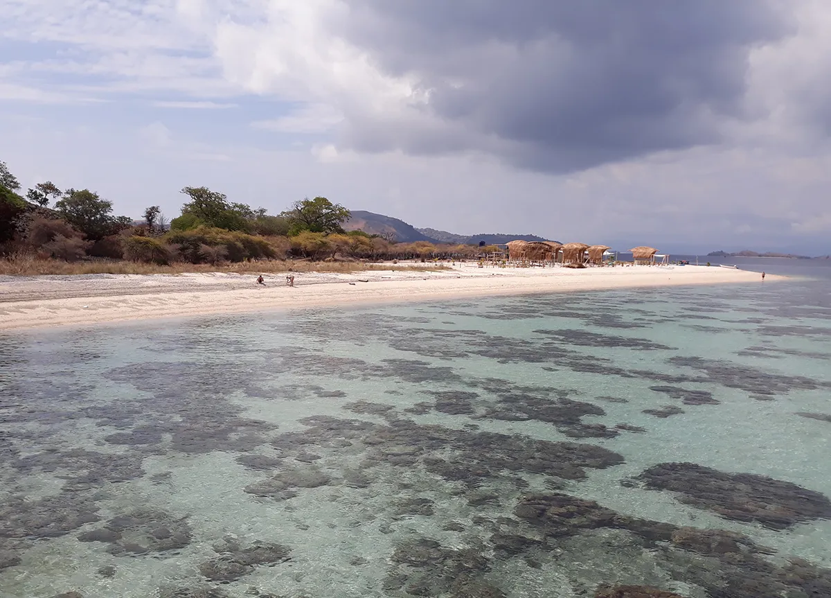  Komodo Tours & cruises 