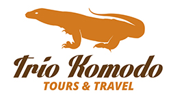 Trio Komodo Tours Indonesia